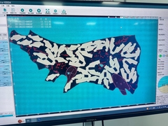 Máquina de corte de cuero genuino para fábrica de zapatos y bolsos